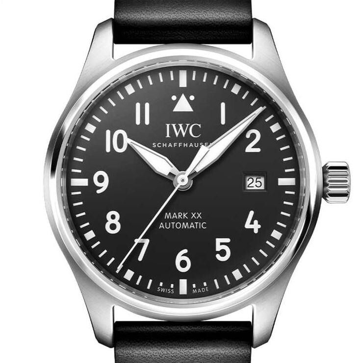 Fake IWC